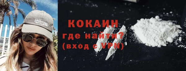 прущие грибы Няндома