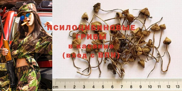 гашиш Нягань