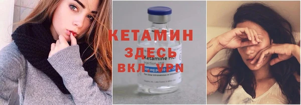 прущие грибы Няндома