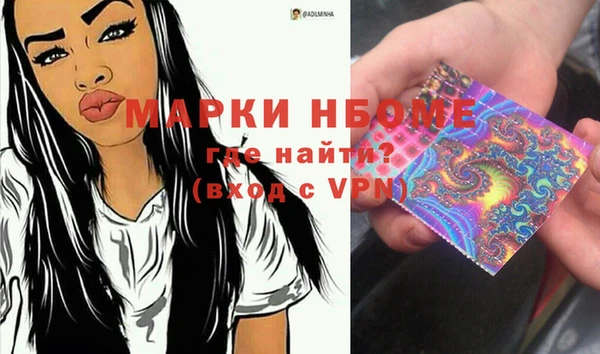 прущие грибы Няндома