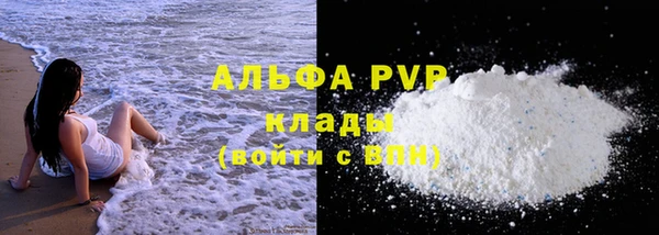 прущие грибы Няндома